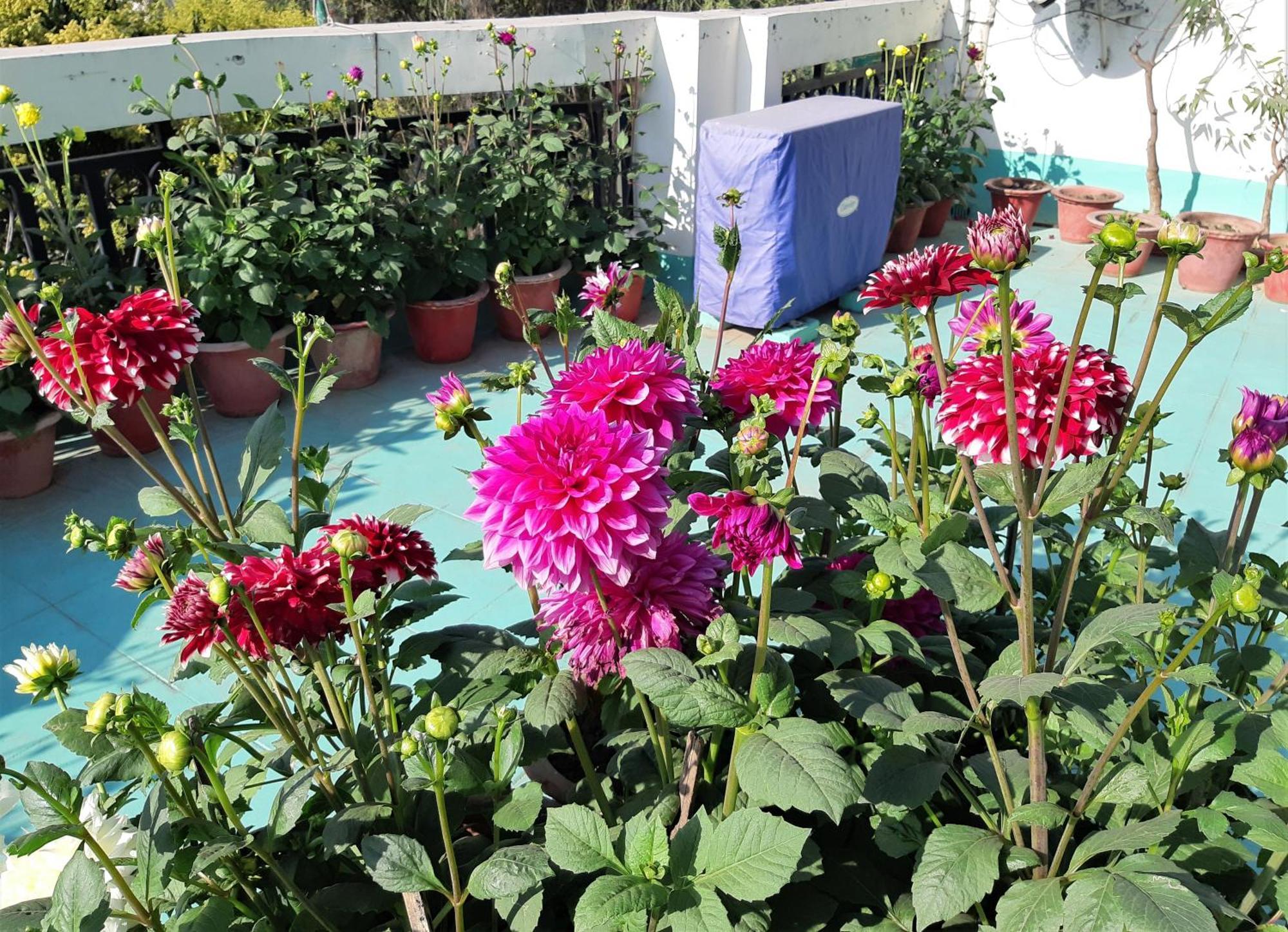 Fully Furnished Ish, Atithya Homestay With Various Amenities And Free Services In Lucknow, India Exteriör bild